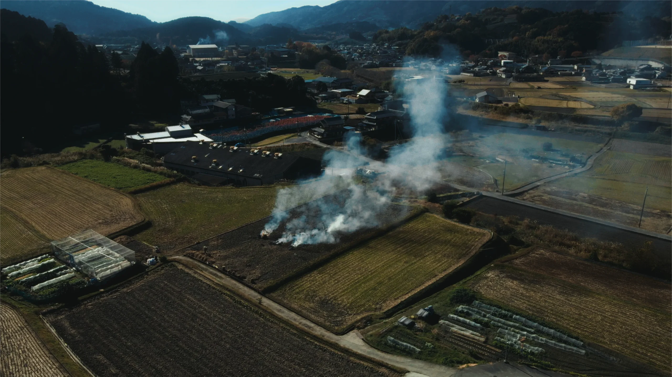 CoL colorgradingのノードをあてた画像