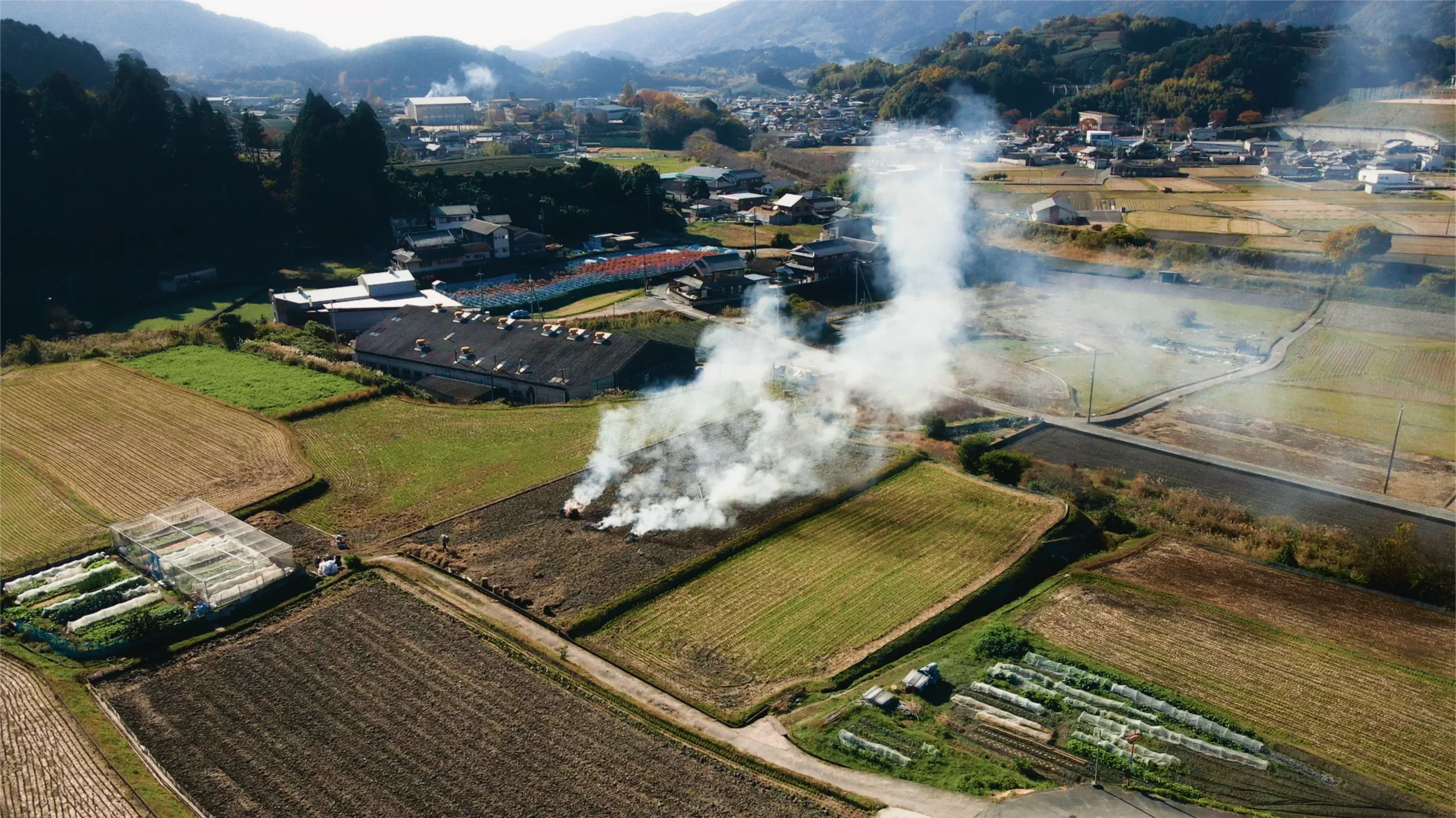 CoL colorgradingのノードをあてた画像