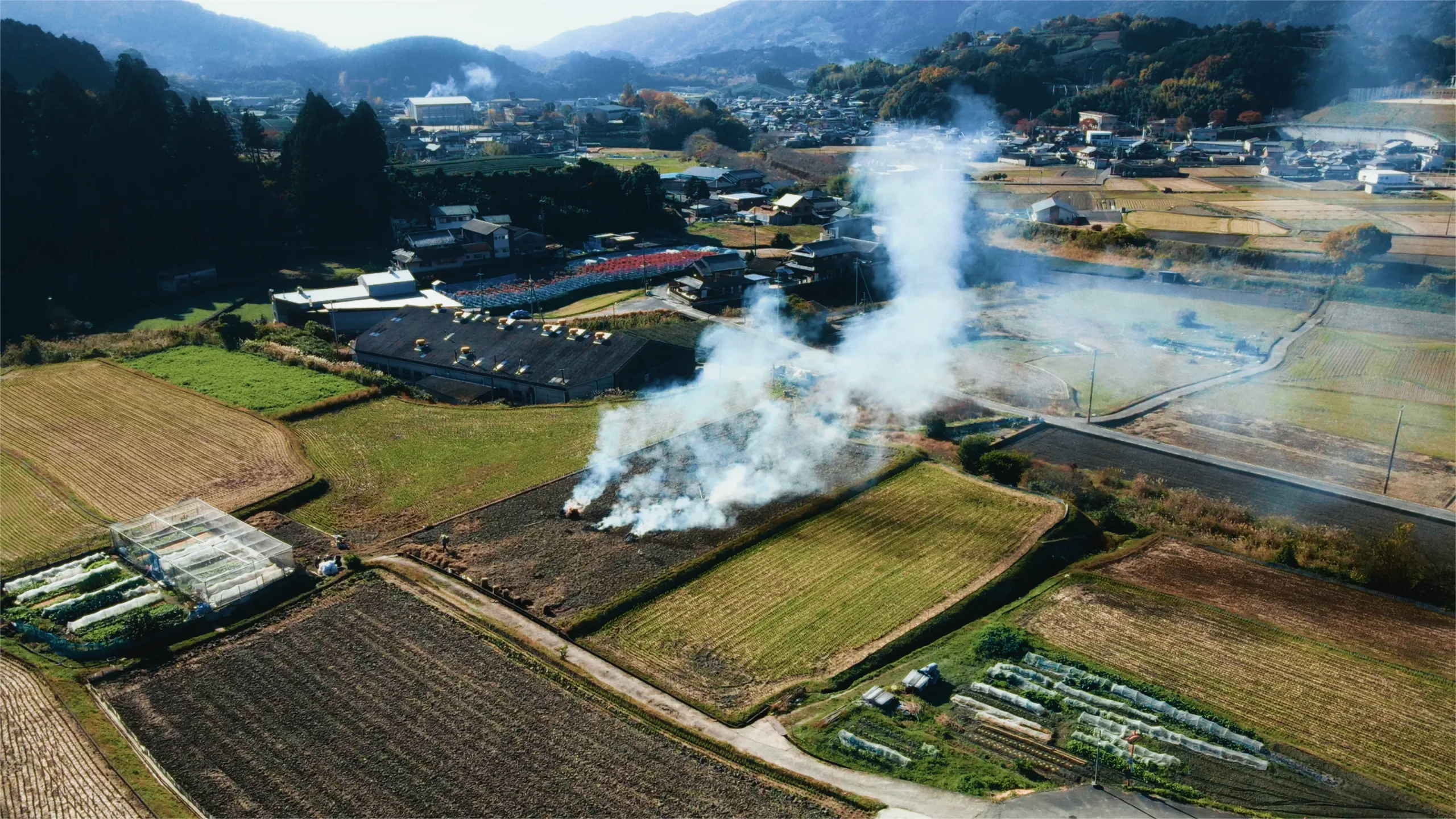 CoL colorgradingのノードをあてた画像