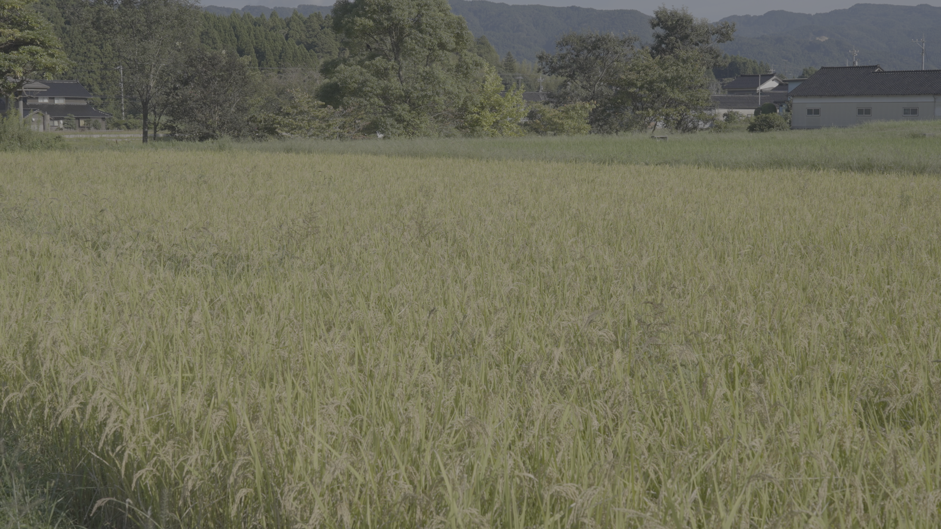 Slog3(CoL未使用)のノードをあてた画像